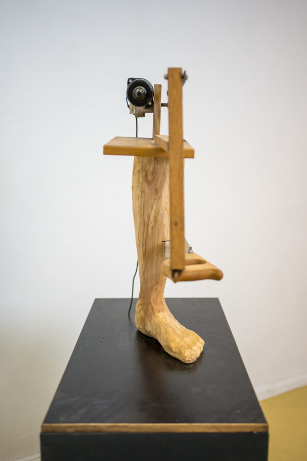 HUMANITY - Image 4
