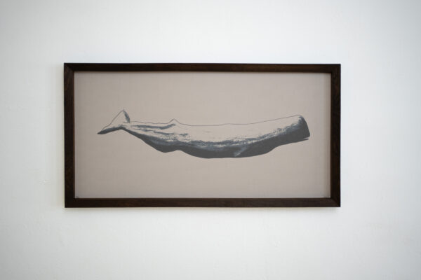 Whale